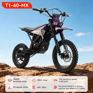 T1-60-MX