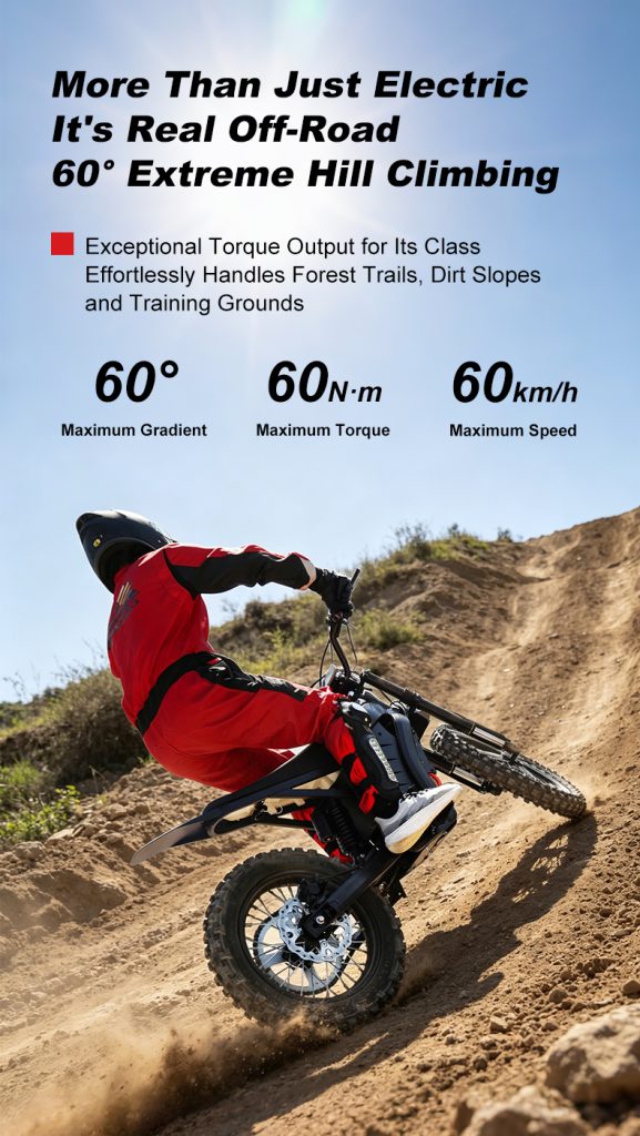 X1 Electric Motorcycle