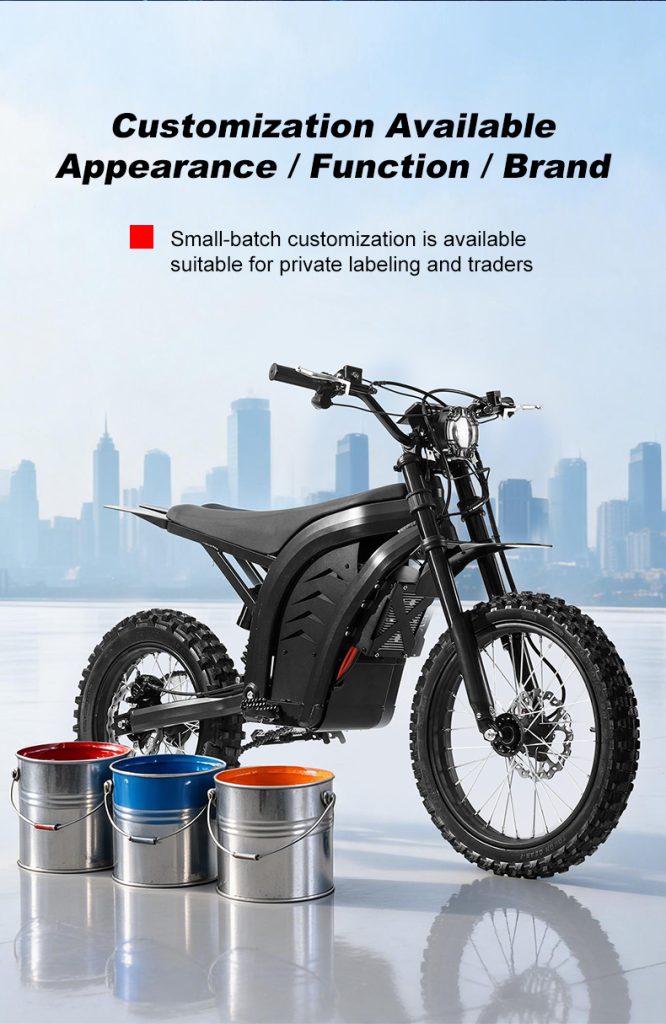 X1 Electric Motorcycle